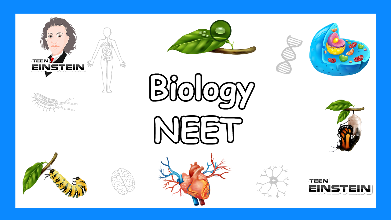 Reproductioon in Organisms 2 NEET Biology Reproductioon in Organisms 2